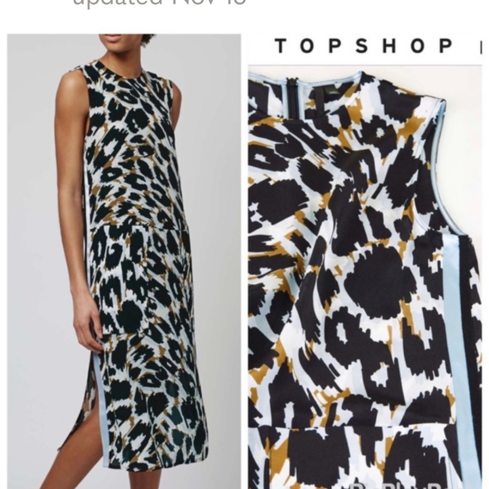 100% Silk - Topshop Sleeveless Animal Print Dress